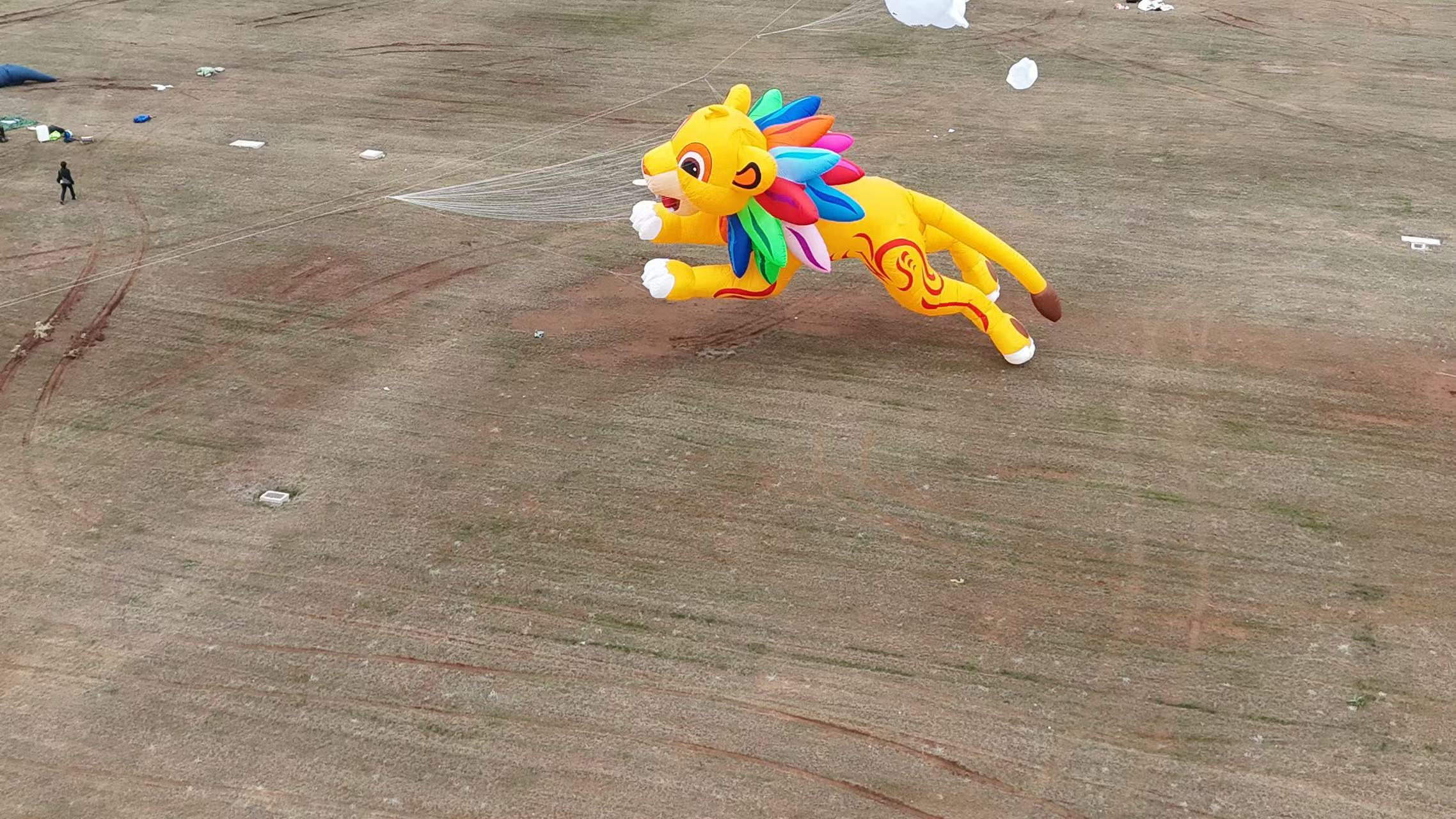 东方市品牌风筝定制风筝制作 - 排名